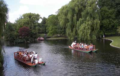Swan boats on the Public Gardens